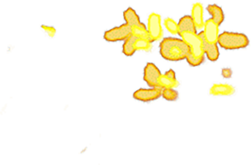 ͼƬ