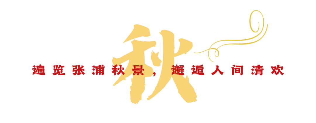 �������� (3).png