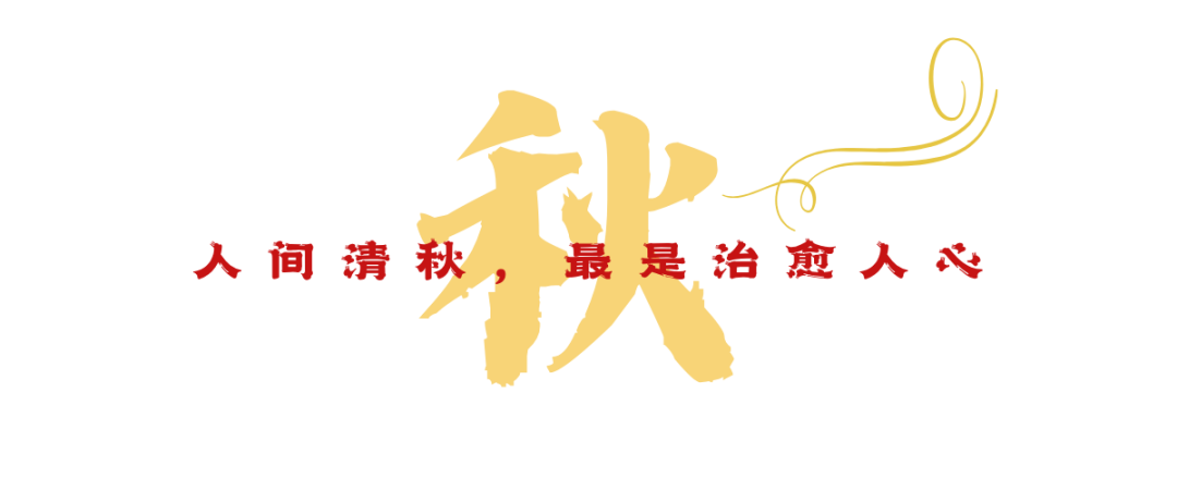 �������� (4).png