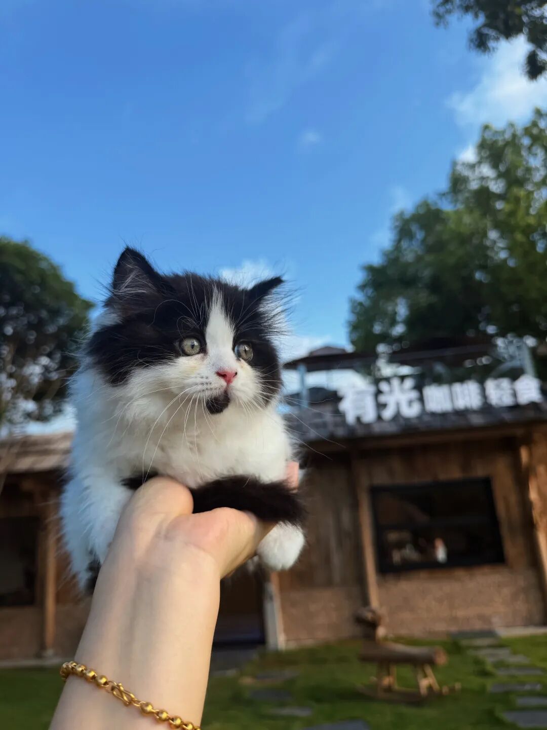 ͼƬ