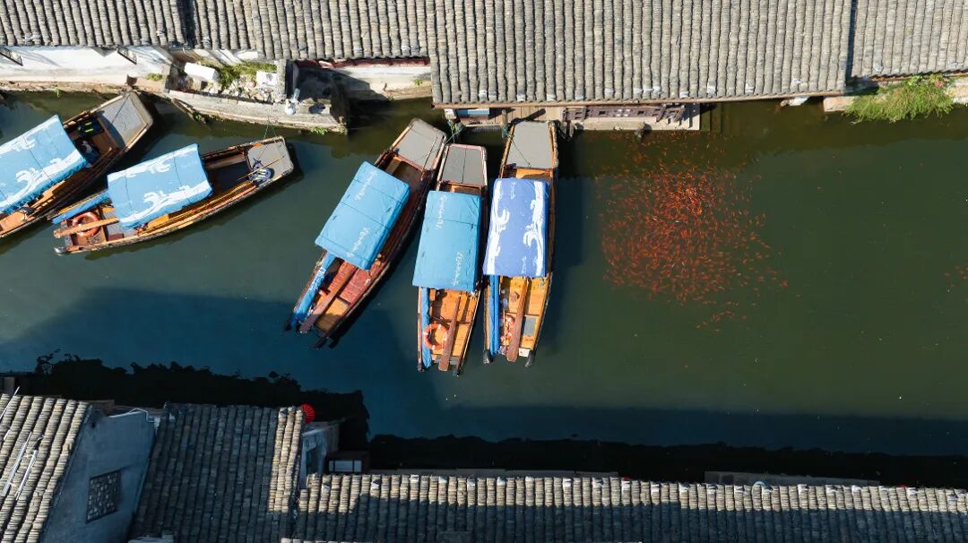 DJI_0802.jpg