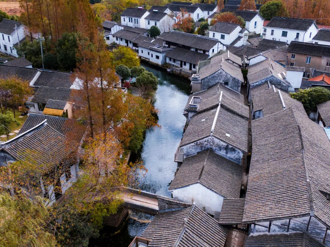 DJI_0630.jpg