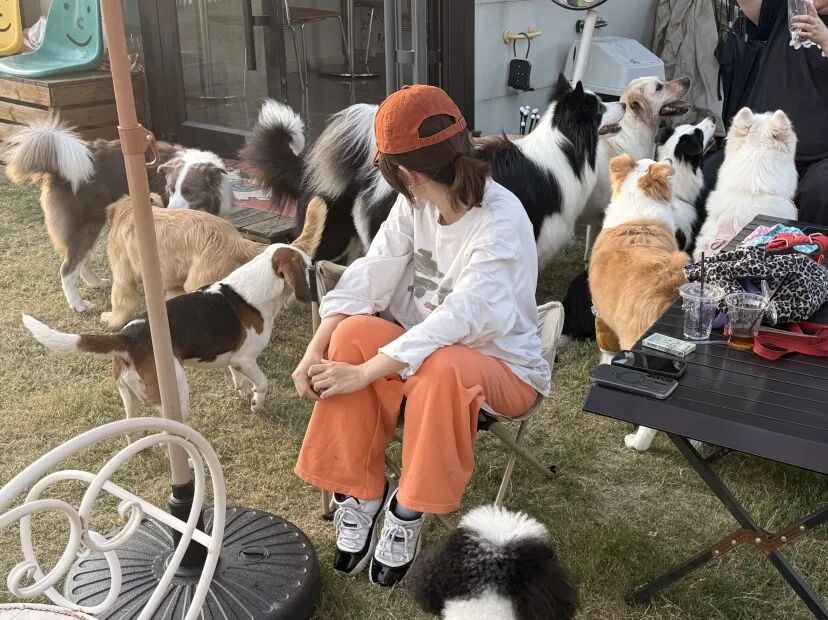 ͼƬ