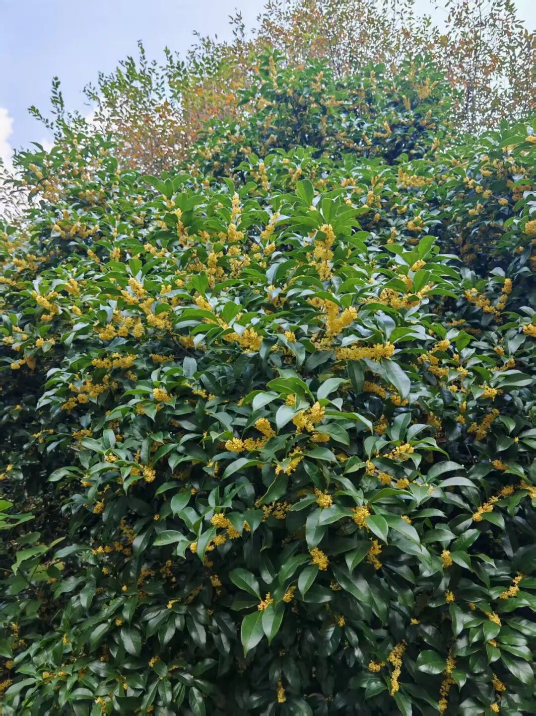 ΢��ͼƬ_20261012144128_169_10.jpg