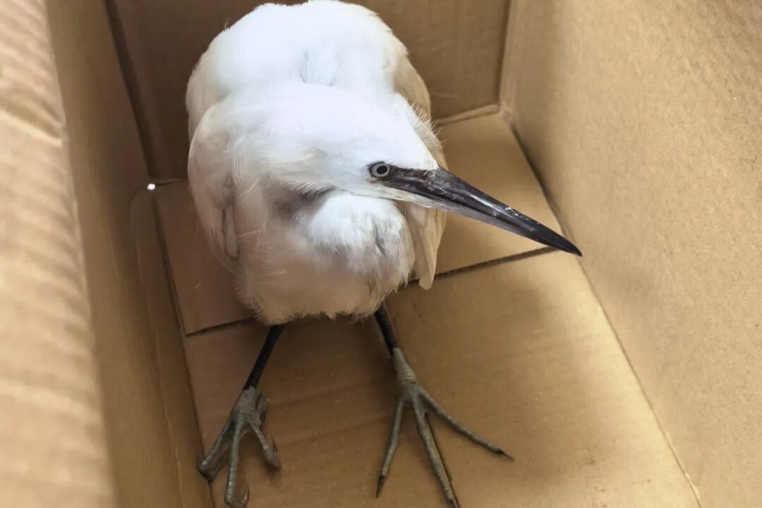 ͼƬ
