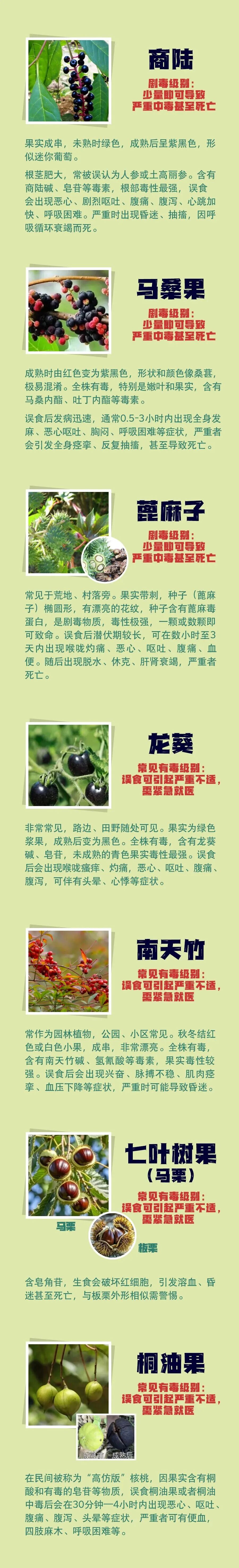 4160fcd46a9cb42eac2dcdf2c4b0c452.jpg